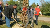 Rastina : Ozelenjavanje sela, fudbalska  utakmica i druženje za pamćenje