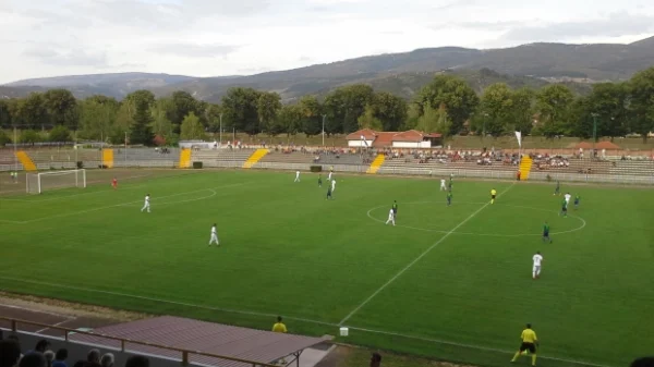 Nemanja Petrov doneo radost!, Prva liga Srbije