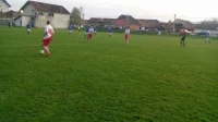 Zaslužena pobeda Ribnika, Prva rasinska okružna liga