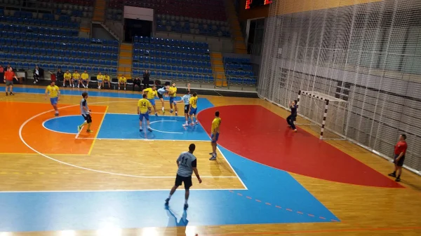 Metalac gazda u Kraljevu, Prva liga Zapad