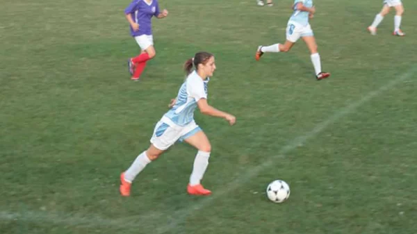 Šumadinke "ukrotile" Lavice, Prva liga Srbije