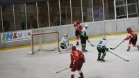 Zvezda u trijumfalnom ritmu, prvenac Voše, IHL liga