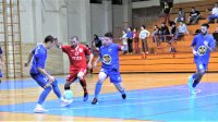 "Fenjerdžijama" Tisa preduboka, Druga Futsal liga
