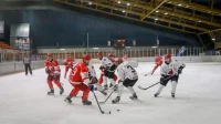IHL: Novi het-trik Čegrinceva u Novom Sadu, IHL liga