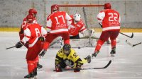 IHL: Zvezda kroz produžetak do trijumfa, IHL liga