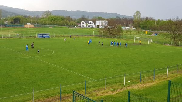 Zlatni bodovi Trsteničana u borbi za vrh tabele u Zoni "Zapad", Zona "Zapad"