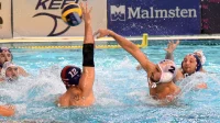 Radnički i Zvezda u novom srpskom derbiju Regionalne lige, VRL Premier league