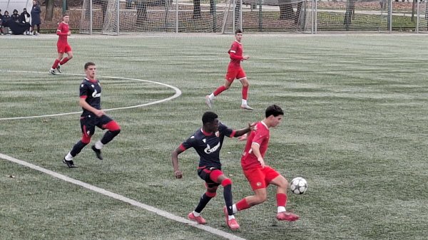 Omladinci Zvezde nemilosrdni, torpedovani Novobeograđani na Adi, Omladinska liga Srbije