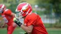 Prva liga Srbije: Indians vs Golden Bears, Prva liga Jug