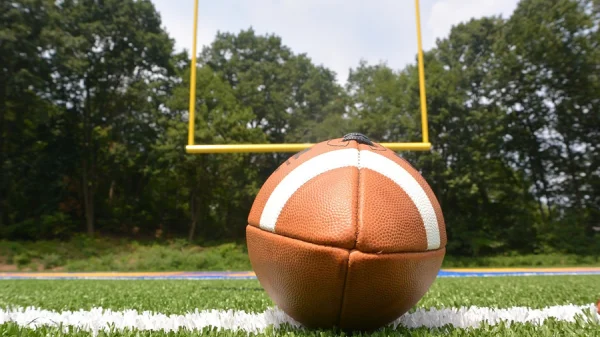 Prva liga Srbije: Indians Inđija vs Golden Bears Bor 82:0, Prva liga Jug